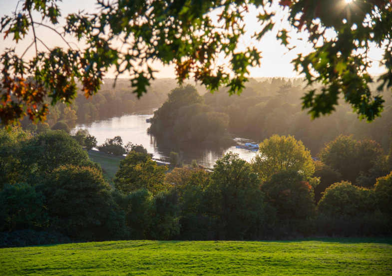 park view