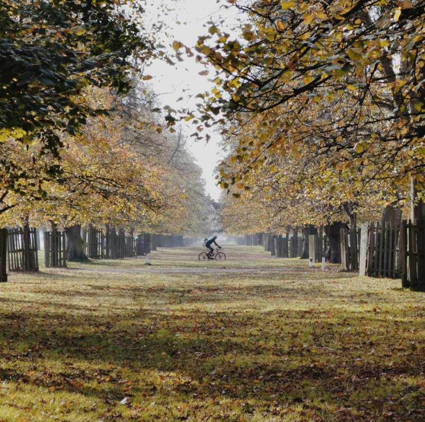 The Best Green Spaces & Parks in Kingston Upon Thames