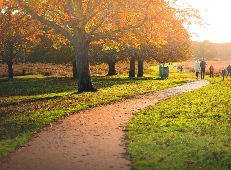 The Best Green Spaces & Parks in Kingston Upon Thames